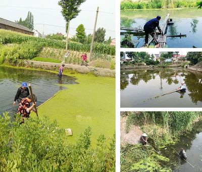 保卫绿水青山 罗塘街道水污染防治工作如火如荼