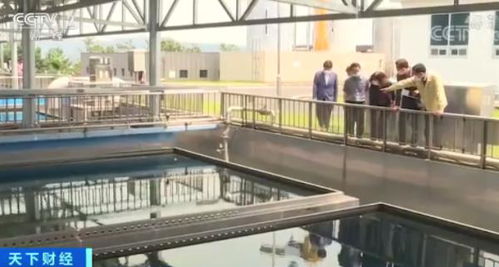 韩城市水污染危机 幼虫事件引发净水恐慌与治理反思