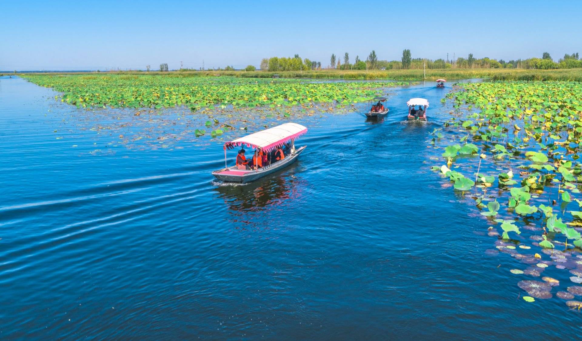 亲历白洋淀水污染治理 轰轰烈烈的战役与曲折艰辛的历程