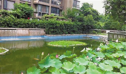 住宅小区景观水体污染原因分析与防治对策探讨