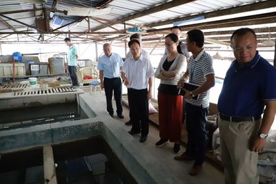 主题教育进行时 | 谢岗镇 以常态化巡河筑牢治水根基，全力打造水污染治理示范样板