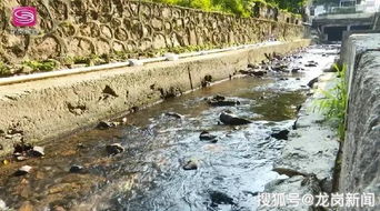 鱼游蟹藏，水清岸绿 吉华水污染治理成效显著，黑臭现象一去不复返