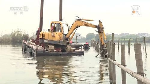 新朋友落户“浙”里 水污染治理背后的生态蜕变与人文故事